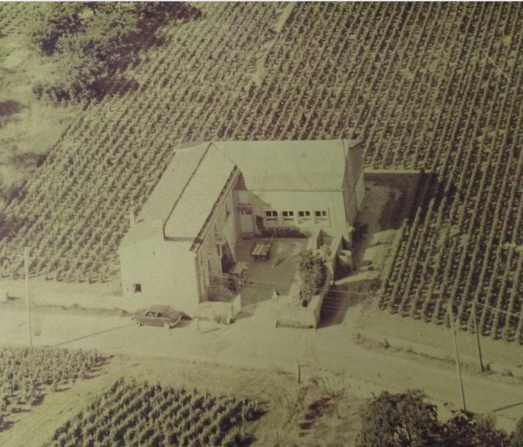 Domaine viticole de l'IUVV  en 1962, c'est une vue aérienne.