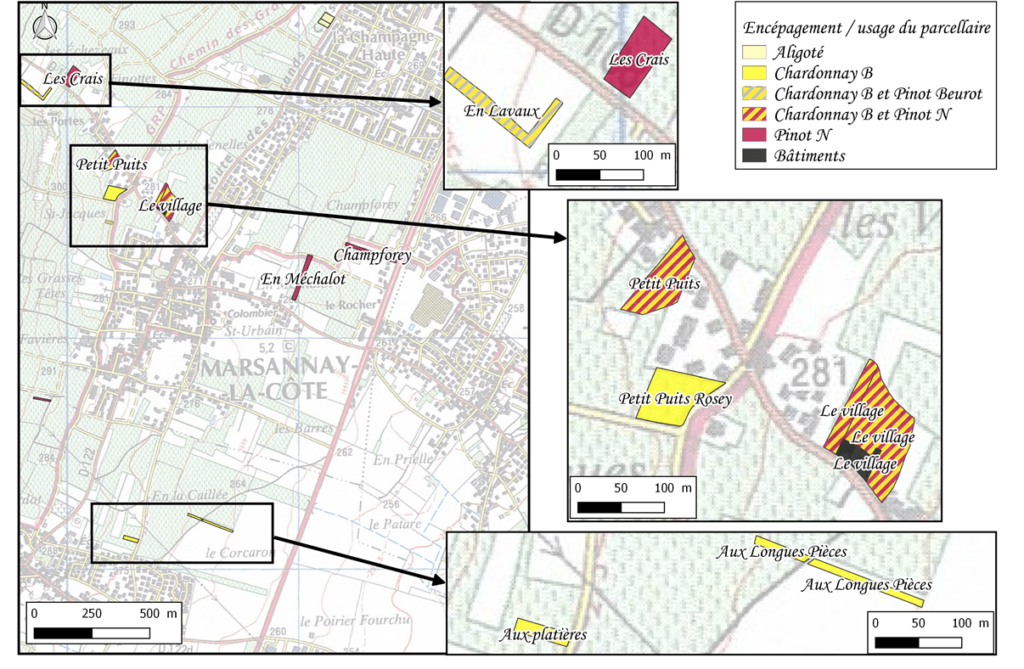 Domaine viticole de l'IUVV et son plan, afin que vous puissiez vous repérer